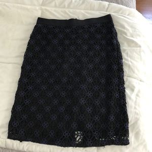 Ann Taylor skirt